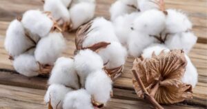 💭 بررسی و تحلیل نماد پنبه (COTTON) در فارکس 💭